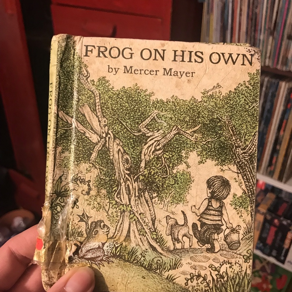 Frog On His Own by Mercer Mayer - Green Illustrated Children's Book